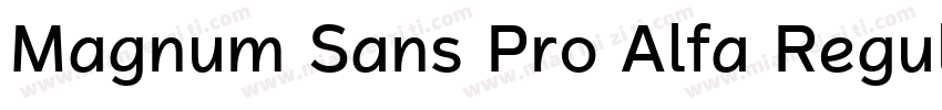 Magnum Sans Pro Alfa Regular 4字体转换